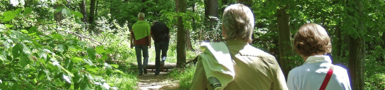 Senioren spazieren im Wald Nahe Brandis